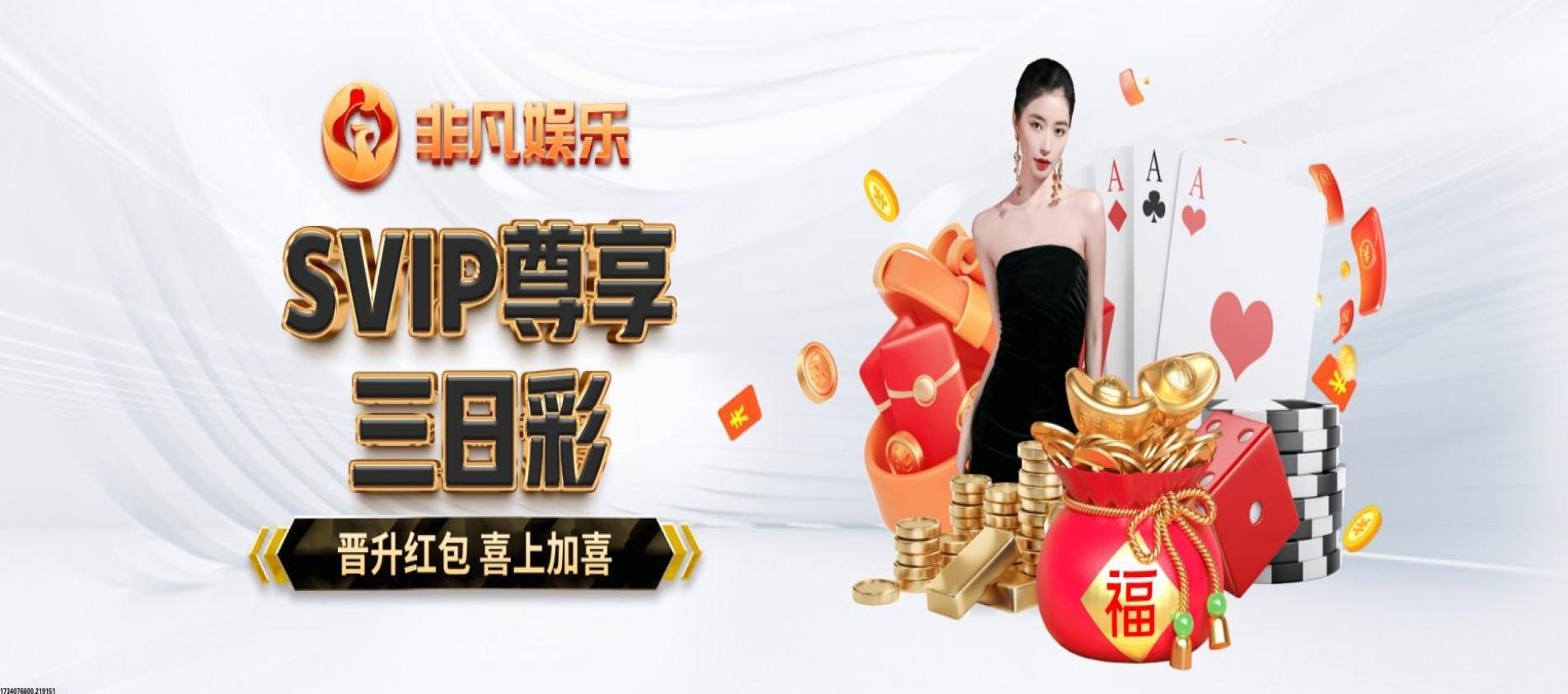 球员与球队详细档案