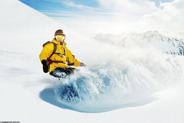 彭山体育馆内培训机构全面盘点